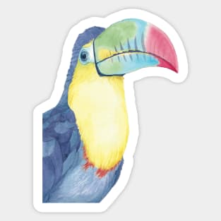 Watercolor keel-billed toucan painting bird Sticker